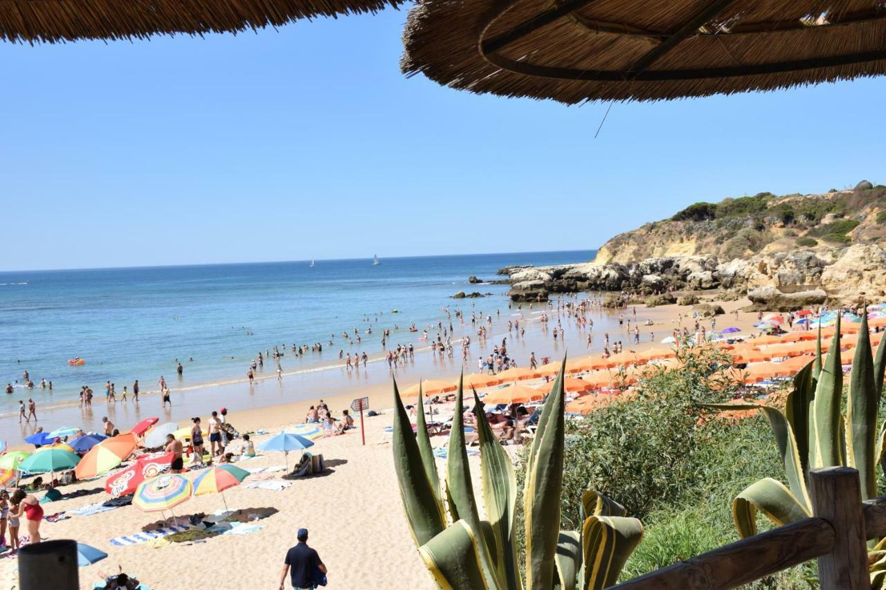 Pe Na Praia البوفيرا المظهر الخارجي الصورة
